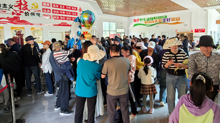 202405061714957838941965.png 图片8_副本.png