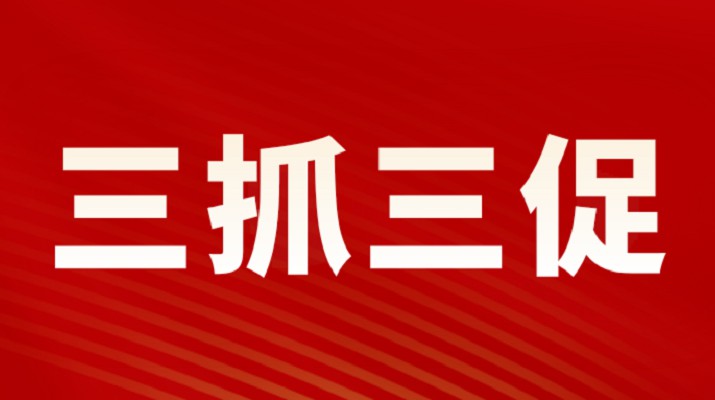 三抓三促进行时丨jch金彩汇集团召开重点项目调度会