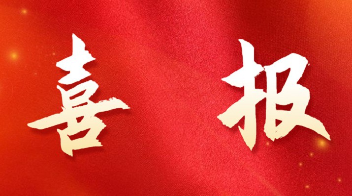 jch金彩汇集团喜获税务部门表彰